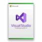 Visual Studio Professional 2019