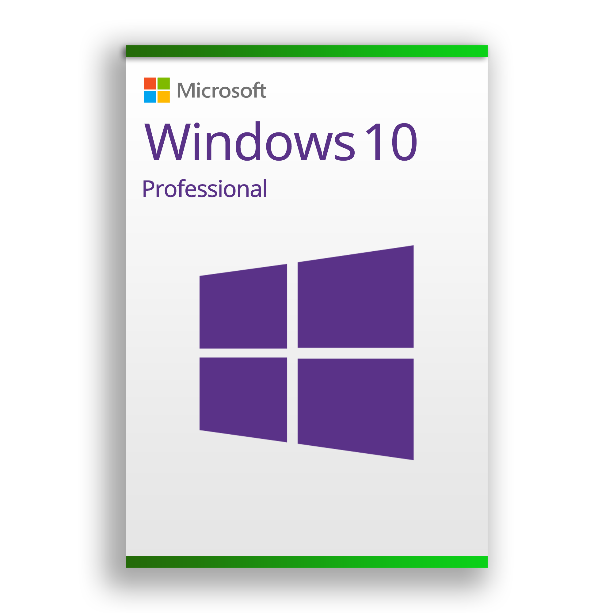Windows 10 Professional