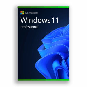 Windows 11 Professional