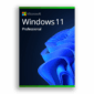 Windows 11 Professional