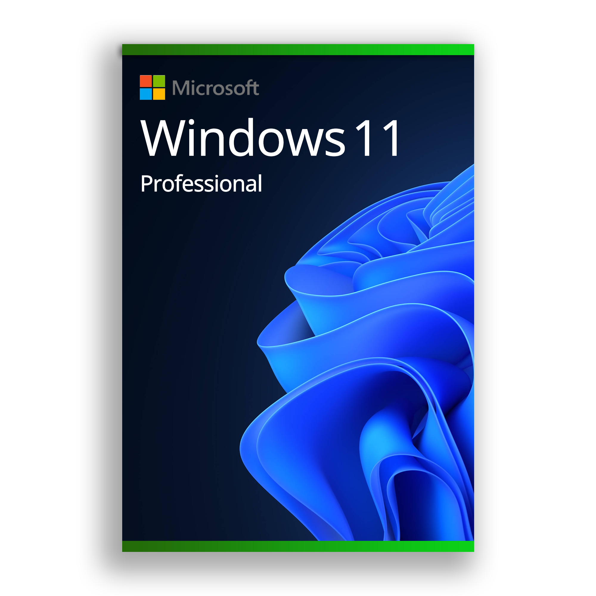 Windows 11 Professional Windows 11 Professional