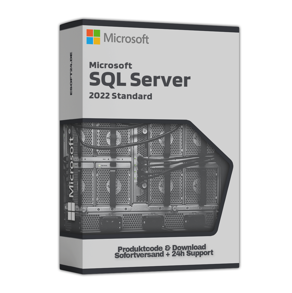 microsoft_sql_server_2022_standard_87004