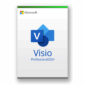Visio Professional 2024