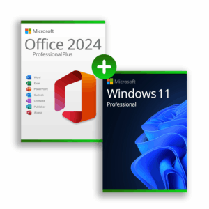 Microsoft Office 2024 Professional Plus & Windows 11 Professional (Bundle)